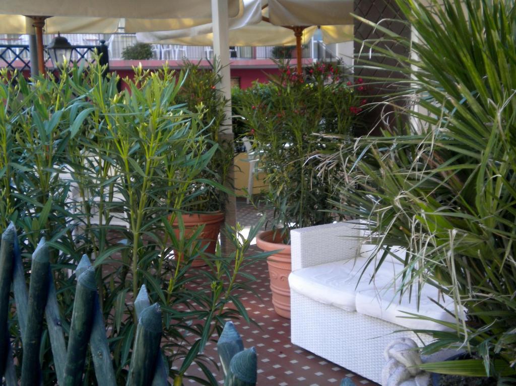 Hotel Nova Dhely Rimini Exteriör bild